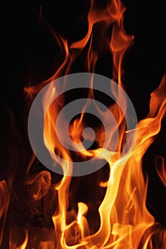 Fire flames on a black background. Blaze fire flame texture background. Close up of fire flames isolated on black background. Burn