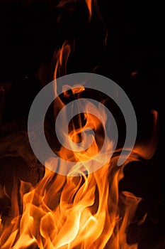 Fire flames on a black background. Blaze fire flame texture background. Close up of fire flames isolated on black background. Burn