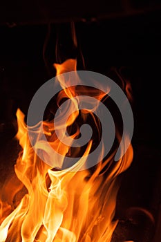 Fire flames on a black background. Blaze fire flame texture background. Close up of fire flames isolated on black background. Burn