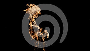 Fire flames on black background. fire on black background isolated. fire patterns