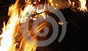 Fire, flames on a black background, fire texture