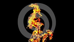 Fire flames on black background isolated. Burning gas or gasoline burns with fire and flames. Flaming burning sparks close-up,