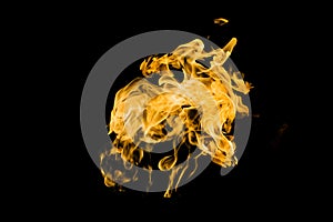 Fire flames on black background isolated. Burning gas or gasoline burns with fire and flames. Flaming burning sparks close-up,