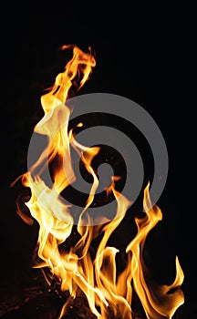 Fire flames on black background or texture