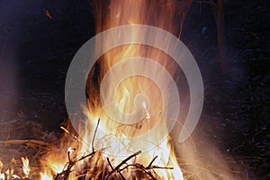 Fire, flames on a black background, fire texture