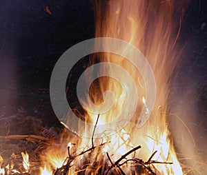 Fire, flames on a black background, fire texture photo