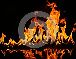 Fire flames burning on black background