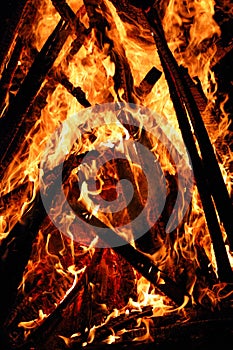 Fire Flames. Burning wood. Fireplace