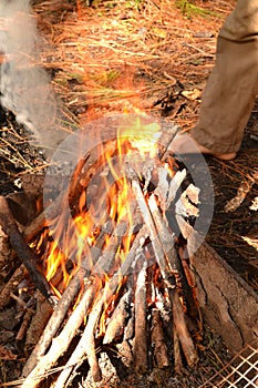 Fire flames dancing in the wind