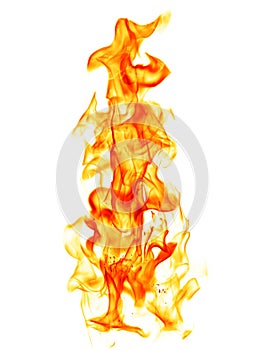 Fire flames isolated on white background