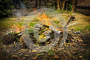 Fire flames in palm oil plantation