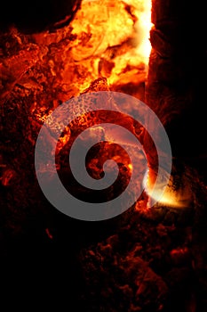 Fire flames and smoke from large logs close up grill background wood burning big size high quality instant print