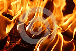 Fire flames VIII