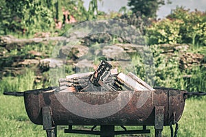 Fire, flames from wood ember for grill or bbq picnic, fume and firewood outdoor