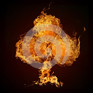 Fire font collection