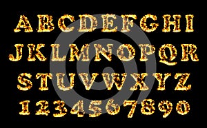 Fire font collection, alphabet of flame. Fire burning letters set.