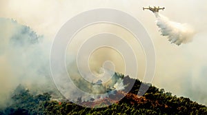 Fire in forest areas in Viotia in Central Greece