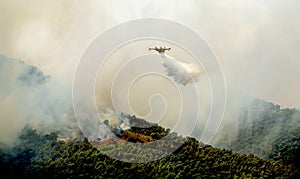 Fire in forest areas in Viotia in Central Greece