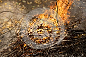 Inflaming the fire. Fire. The fire in the forest. Burning branches