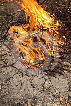 Inflaming the fire. Fire. The fire in the forest. Burning branches