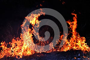 Fire, Forest fire at night, Fire burning hay Selective focus