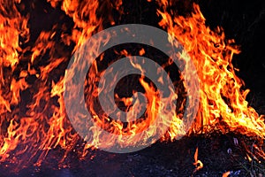 Fire, Forest fire at night, Fire burning hay Selective focus