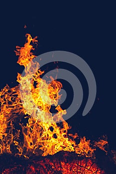 Fire in the forest at night
