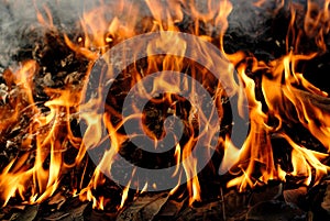 Fire frame background