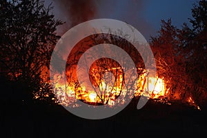 Fire. The garden society burns wooden house