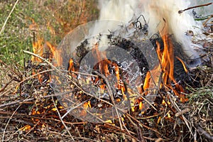 Fire in the garden, weeds, and branches are burning after harvest.