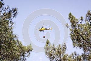 Fire helicopter flies over a forest fire.