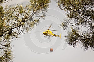 Fire helicopter flies over a forest fire.