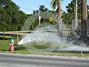 Fire hydrant being flushed - painted red and green with gushing water
