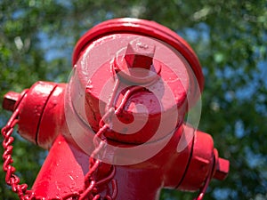 Fire Hydrant