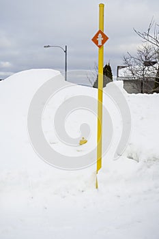 Fire hydrant covered in snow
