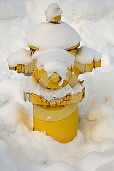 Fire hydrant covered with snow
