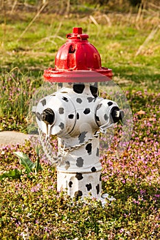 Fire Hydrant with Dalmation Spots