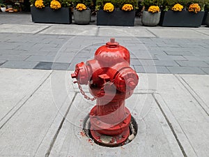 Fire Hydrant in Downtown Detroit