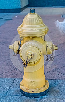 Fire Hydrant fireplug