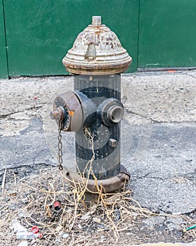 Fire Hydrant fireplug