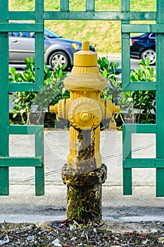 Fire Hydrant fireplug