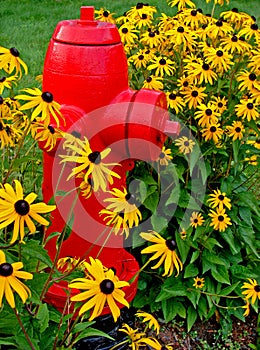 Fire hydrant and flowers