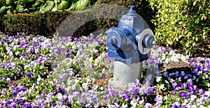 Fire Hydrant in Flowers