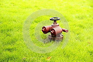 Fire hydrant with grassplot