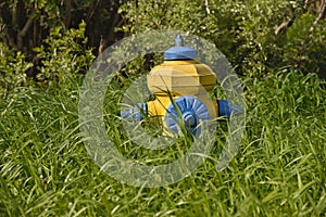 Fire hydrant between high grass