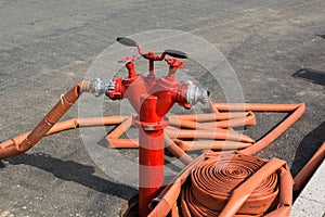 The fire hydrant with interconnected fire hoses.