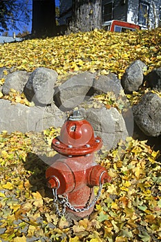Fire hydrant in Lake Placid, NY