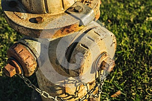 Fire Hydrant in Late Afternoon Light photo