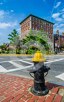 Fire hydrant near the road