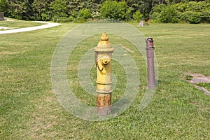 Fire hydrant in a park